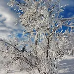 Mountain In Fireplace Sauna 1000 Meters Above Sea Level * Aurdal